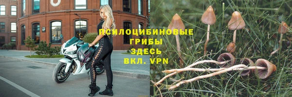хмурый Абдулино
