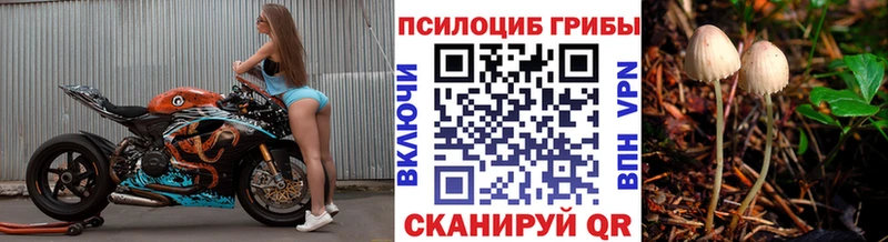 Галлюциногенные грибы GOLDEN TEACHER  цены наркотик  Ковдор 